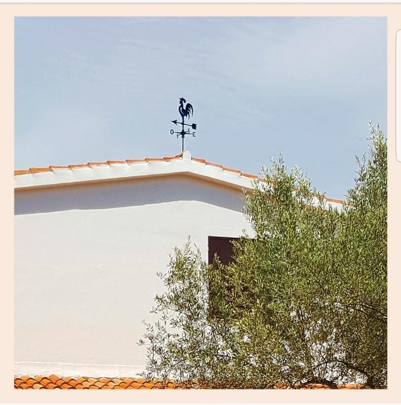 Villa La Rucchetta Alghero Eksteriør bilde