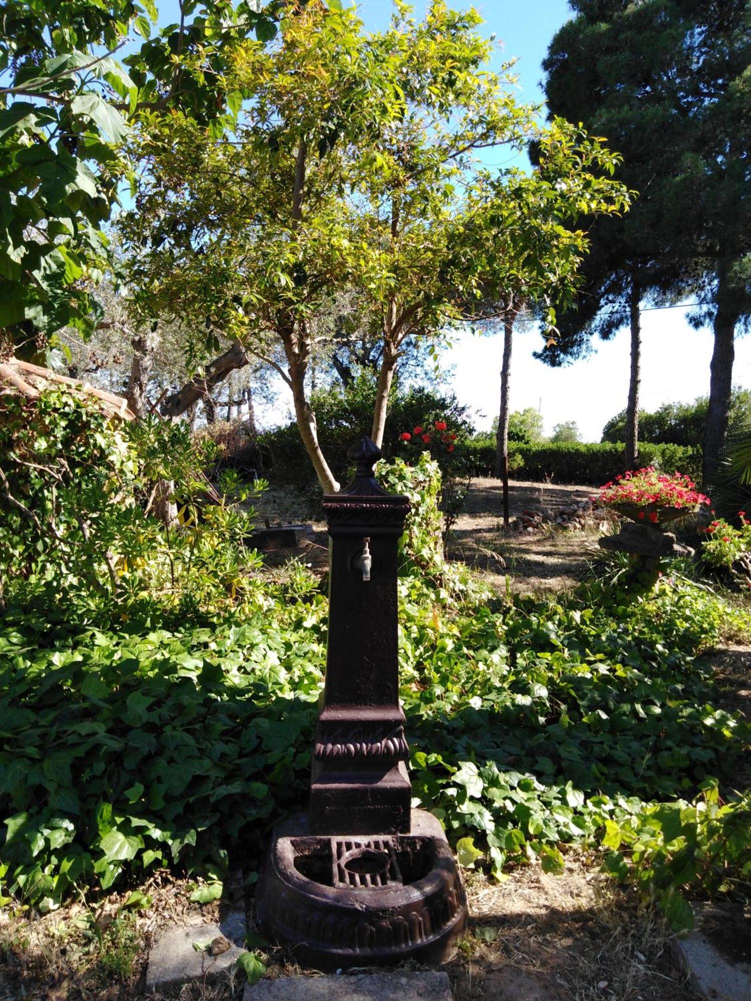 Villa La Rucchetta Alghero Eksteriør bilde